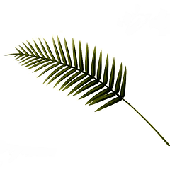 Hoja Palma Verde Decorativa 108 Cm