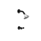 Ducha Balta Sencilla Palanca Pro Con Regadera Dalia Negro 1