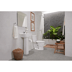 Combo Aluvia Alongado Blanco Con Pedestal 2