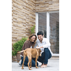 Fachaleta Natural Tejares Piso-Pared Beige Multitono 30 X 60