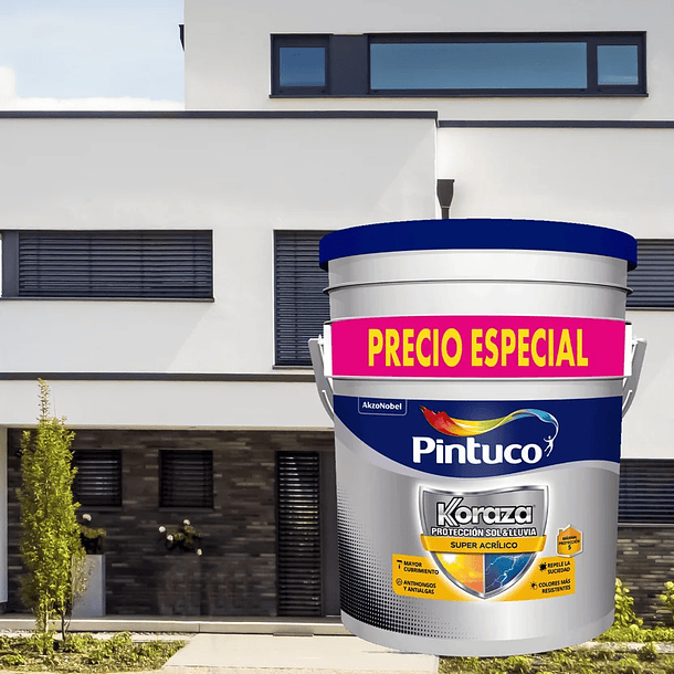 Koraza Cuñete Blanco 5gl 2