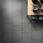 Concolor Junta Estrecha Negro Profundo Corona 2