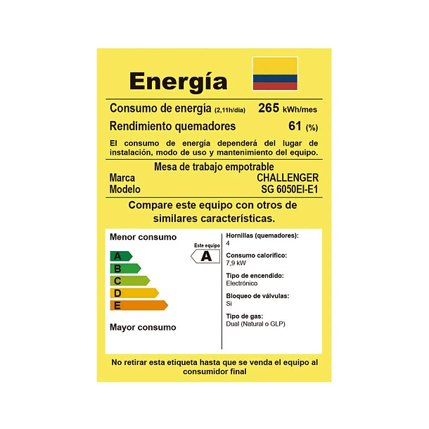 Estufa Gas Challenger SG 6050 4 Puestos 1.6050.73 5