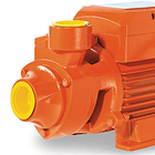 Electrobomba Periférica EVANS BP1ME100 de 1 HP 3