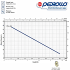 Equipo Hidroneumático PKm60 de 0.5 HP Pedrollo 3