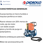 Equipo Hidroneumático PKm60 de 0.5 HP Pedrollo 4