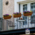 Pintulux 1/4 Galón 3 En 1 Negro    3