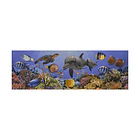 Listón Ubatuba Multicolor 15x45 cm Corona 2