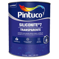Hidrófugo impermeabilizante Siliconite 7 Transparente