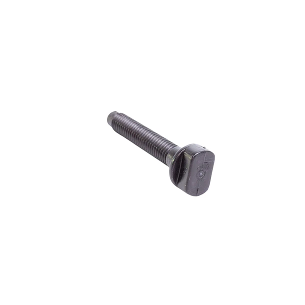 Tornillo de Fijación para Tanque Sanitario Gerfor 6