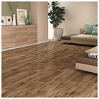 Piso Pared Albero Pianta Plus Roble 20x60 1