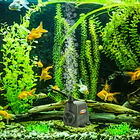Bomba Para Fuente AQUA 45W Evans 4
