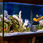 Bomba Para Fuente AQUA 30W Evans 4