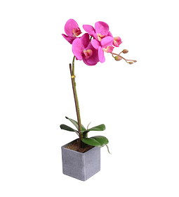 Orquidea C/Pote Violeta