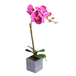 Orquidea C/Pote Violeta