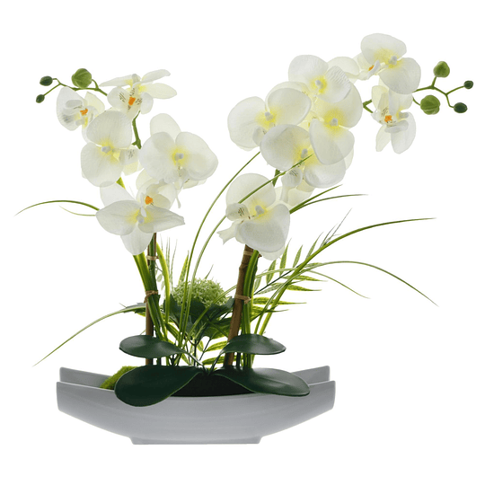 Orquídea Blanca Con Maceta En Forma De Arca