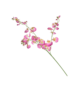 Flor Orquídea Fucsia 92Cm