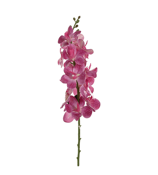 Flor Orquídea Fucsia 67Cm