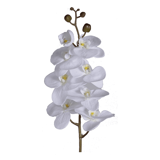Flor Orquídea Blanca 99 Cm