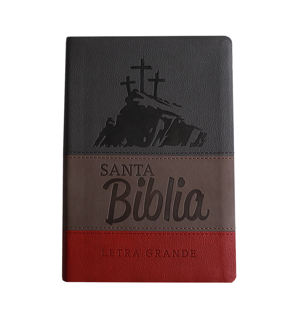 Biblia ACES LG RVR95 Gris/Bordó