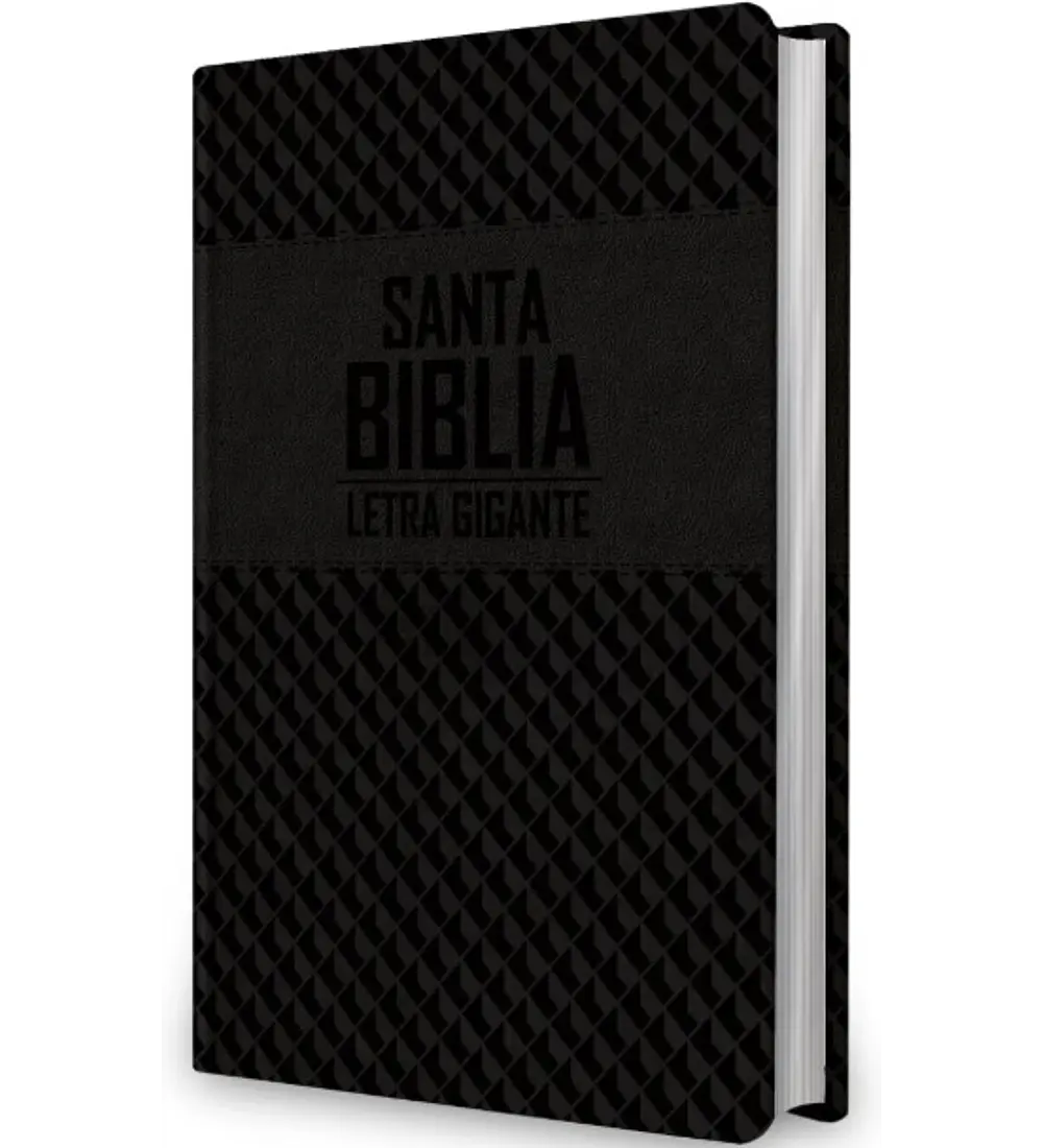 Biblia LGG - NRV 2000 Negro
