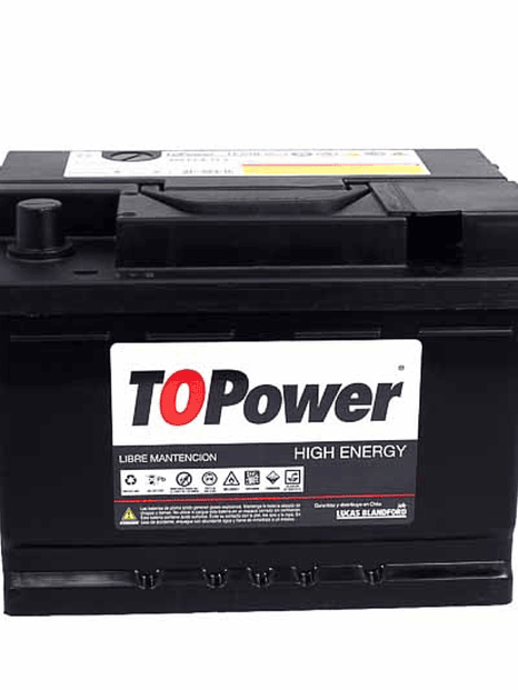 BATERIA TOPOWER 55 AMP 1