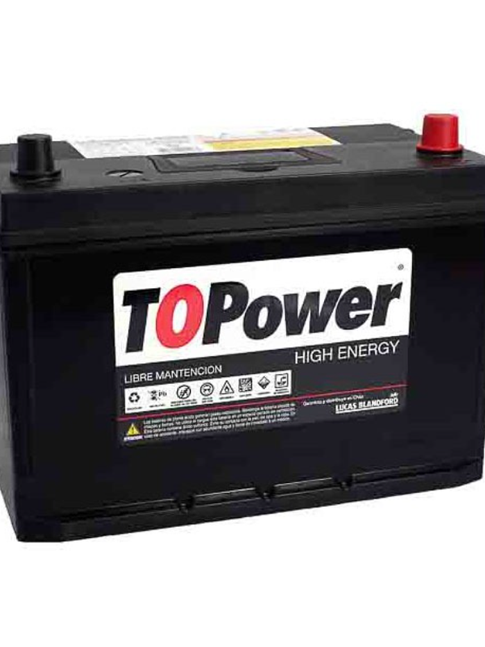BATERIA TOPOWER 60 AMP 1