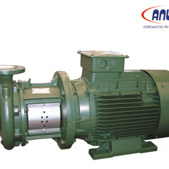 BOMBA DAB CENTRIFRUGA MONOBLOQUE NORMALIZADA NKP-G 32-125.1/102/A/BAQE /0.75/2 - I 1