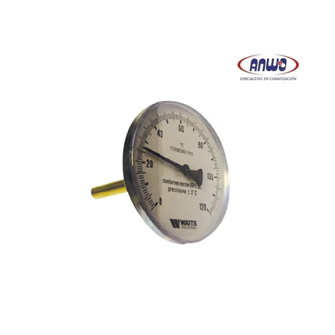 TERMOMETRO T100/100 1