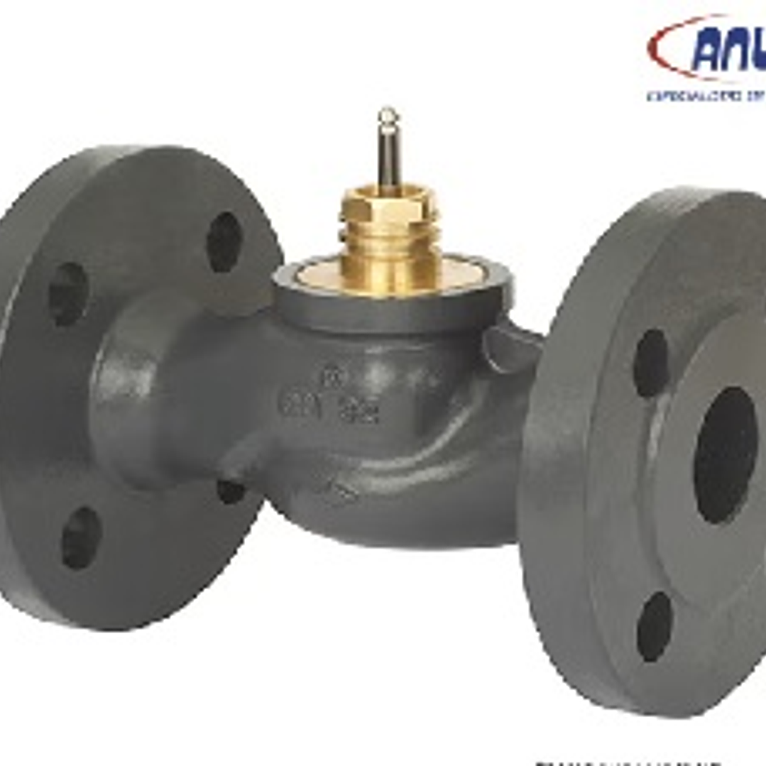 VALVULA DE CONTROL FLANGEADA 2 VIAS, VF 2 PN16 DN100/145 1
