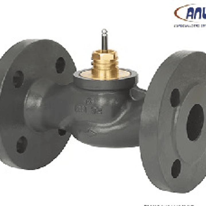 VALVULA DE CONTROL FLANGEADA 2 VIAS, VF 2 PN16 DN100/145 1