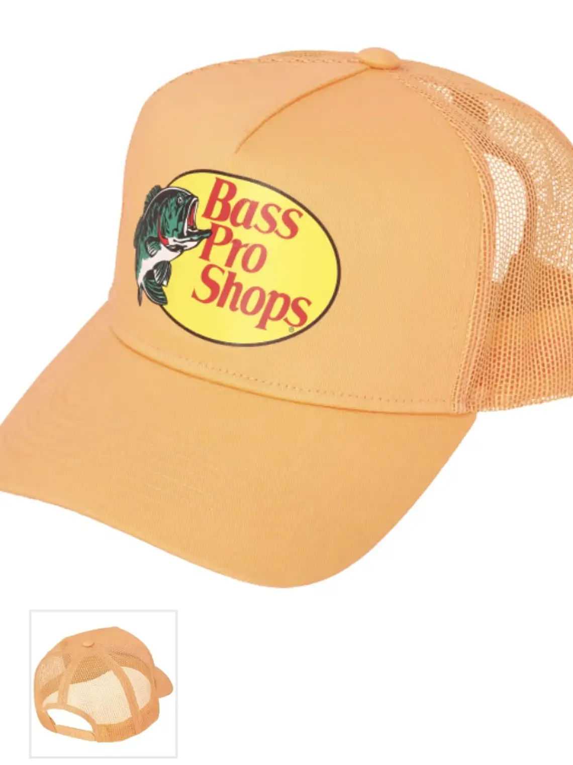 Gorra de demostración 19