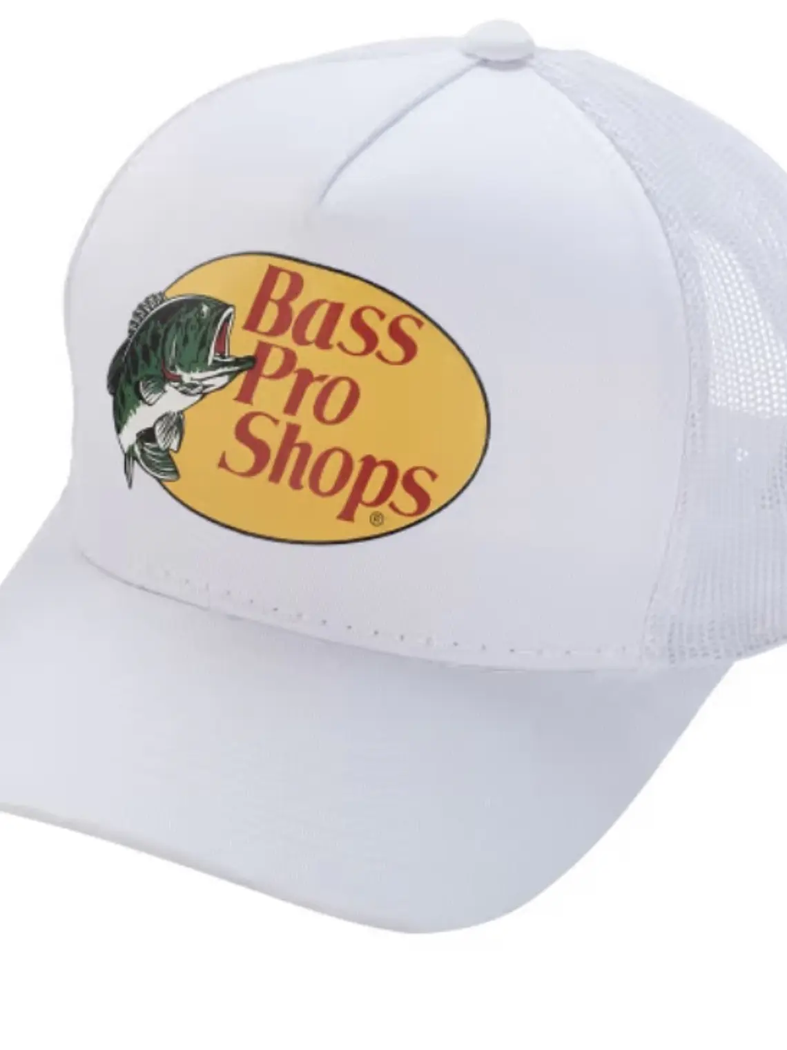 Gorra de demostración 12