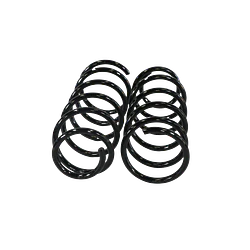 Resorte Hyundai Tucson Trasero 2005-2010 (2)