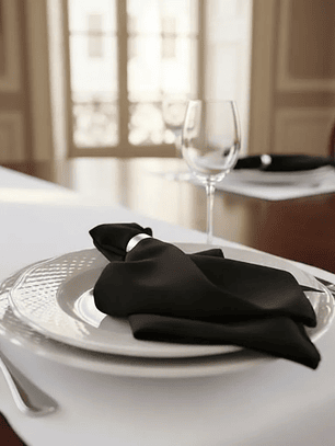 Pack de 4 Servilletas de Tela 30×30cm color Negro