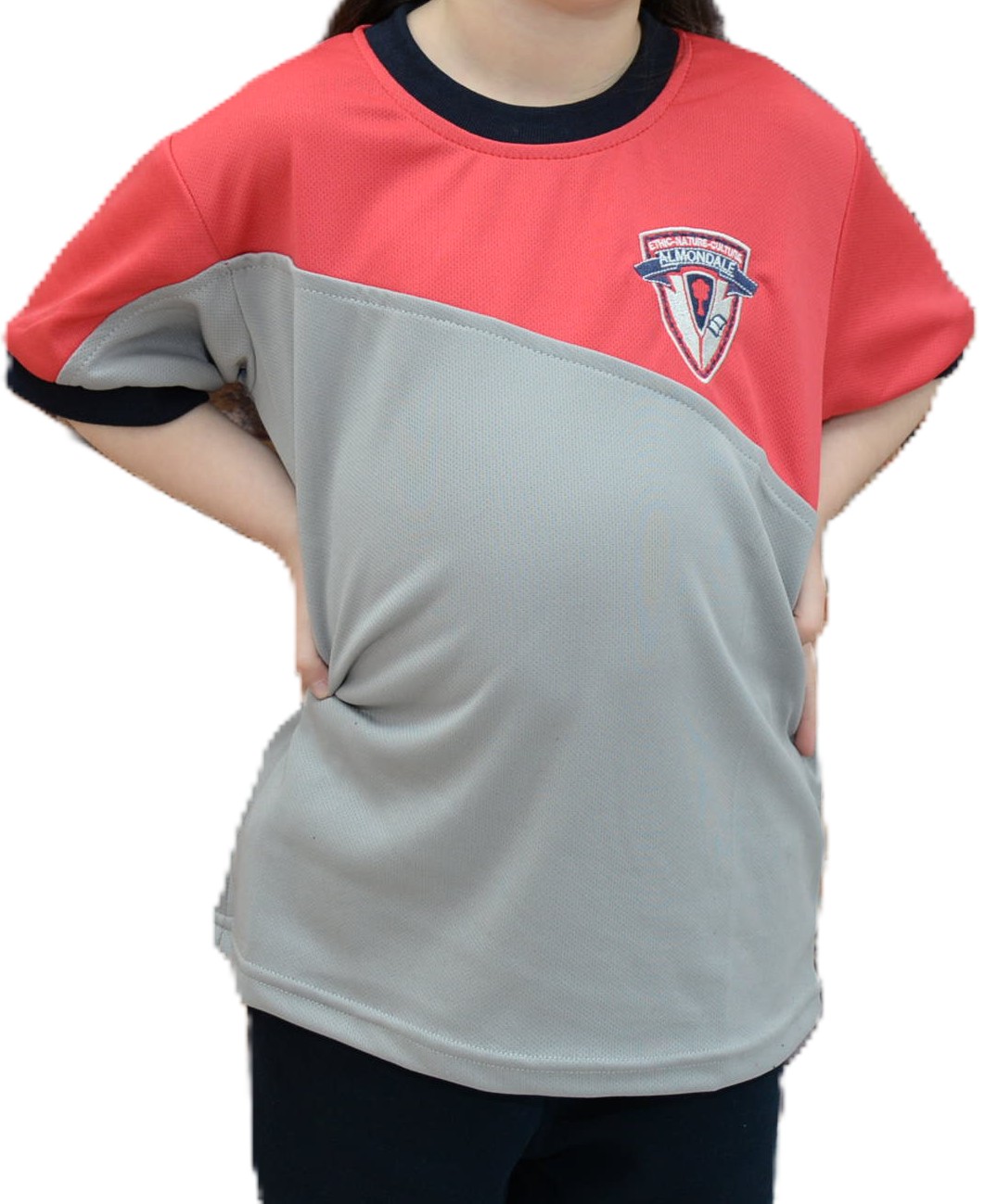 Polera ALGODÓN Manga Corta Colegio Almondale 1