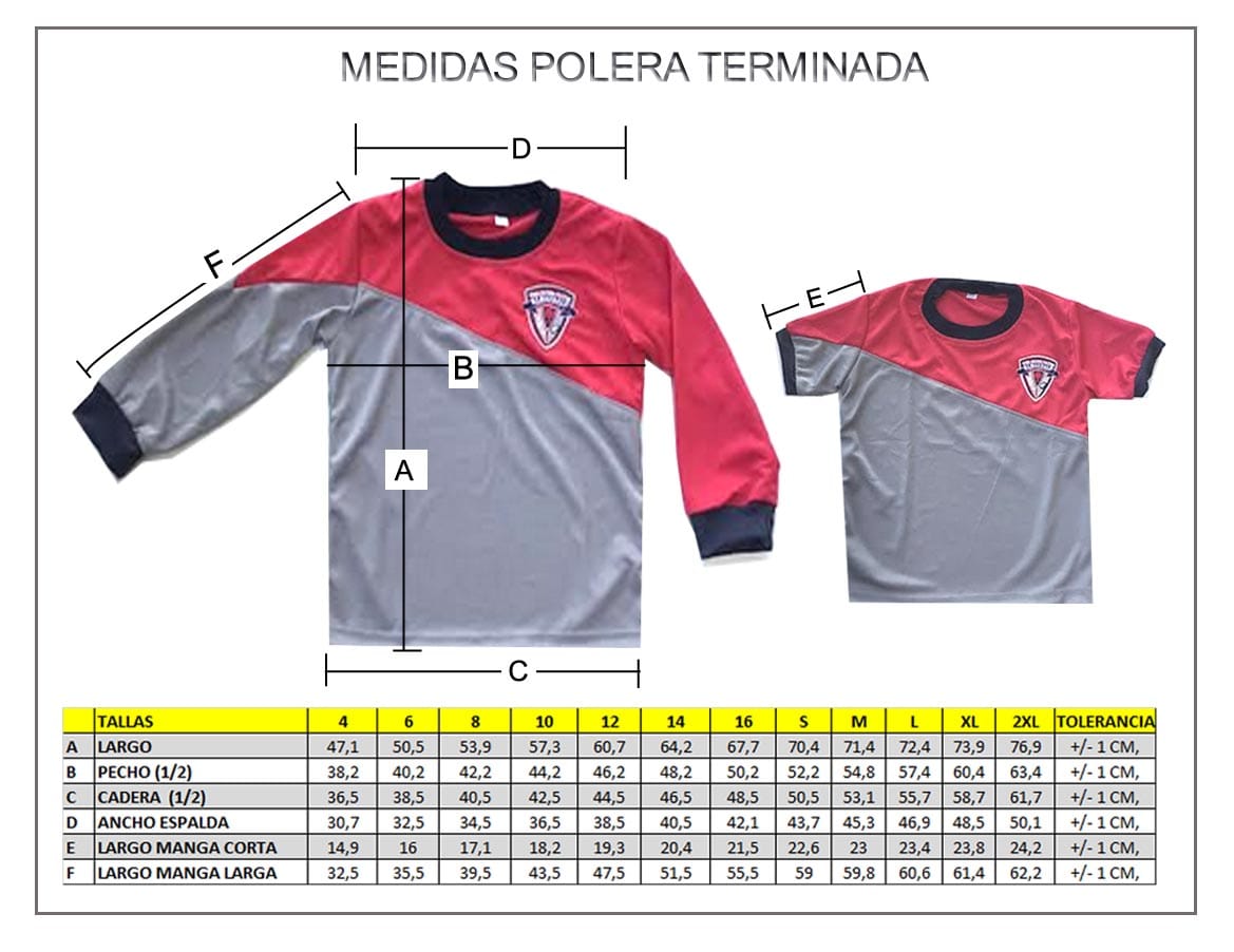 Polera ALGODÓN  Manga Larga  Colegio Almondale 3