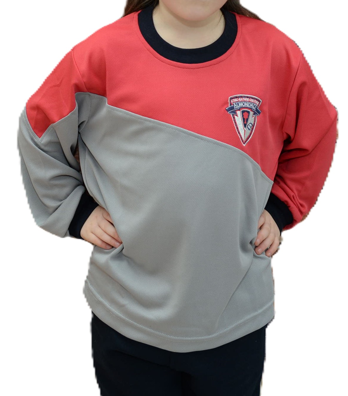 Polera ALGODÓN  Manga Larga  Colegio Almondale 2