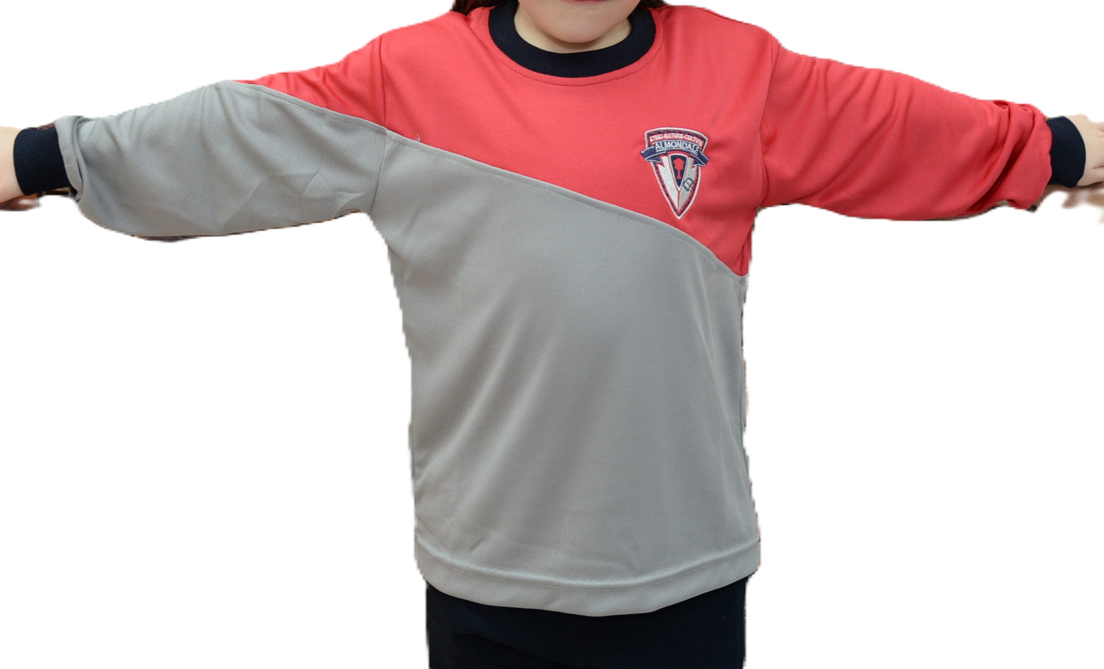 Polera ALGODÓN  Manga Larga  Colegio Almondale 1