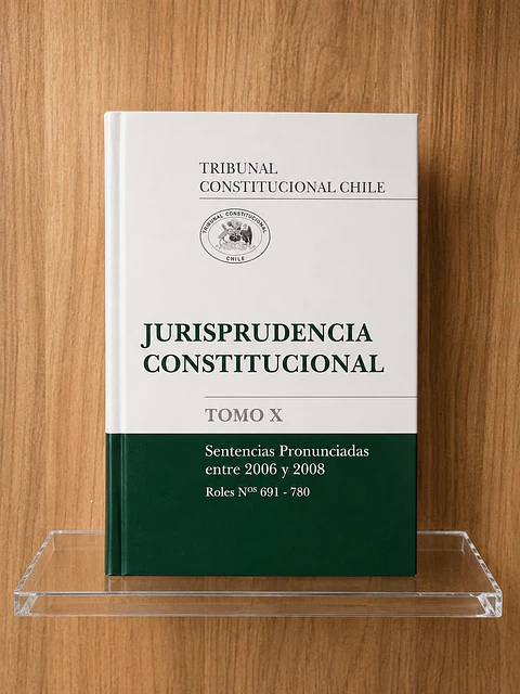 Jurisprudencia consitucional Tomo X