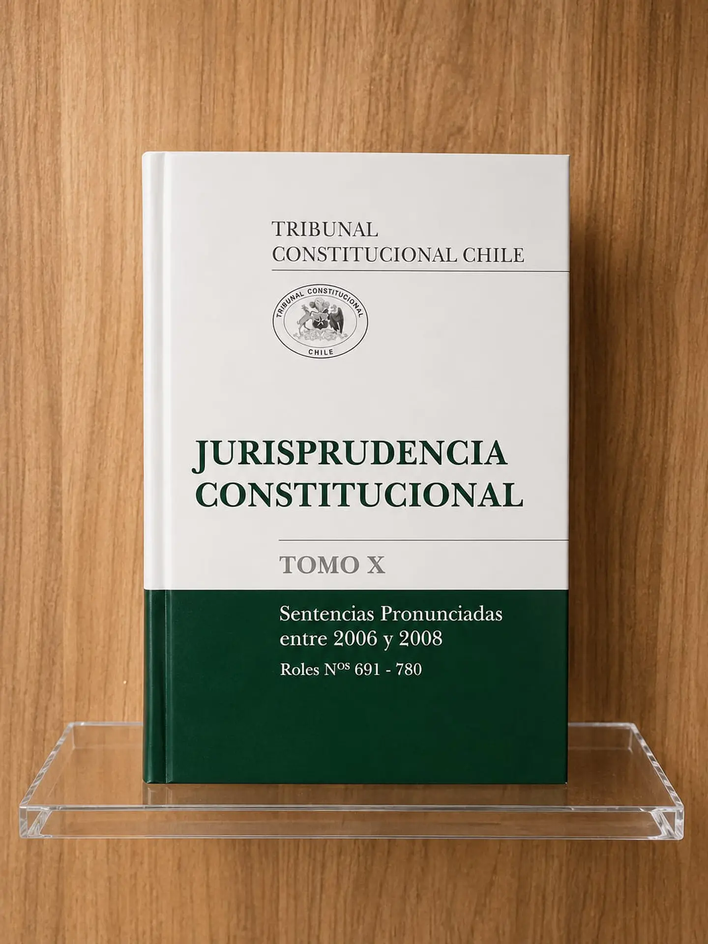 Jurisprudencia consitucional Tomo X 1