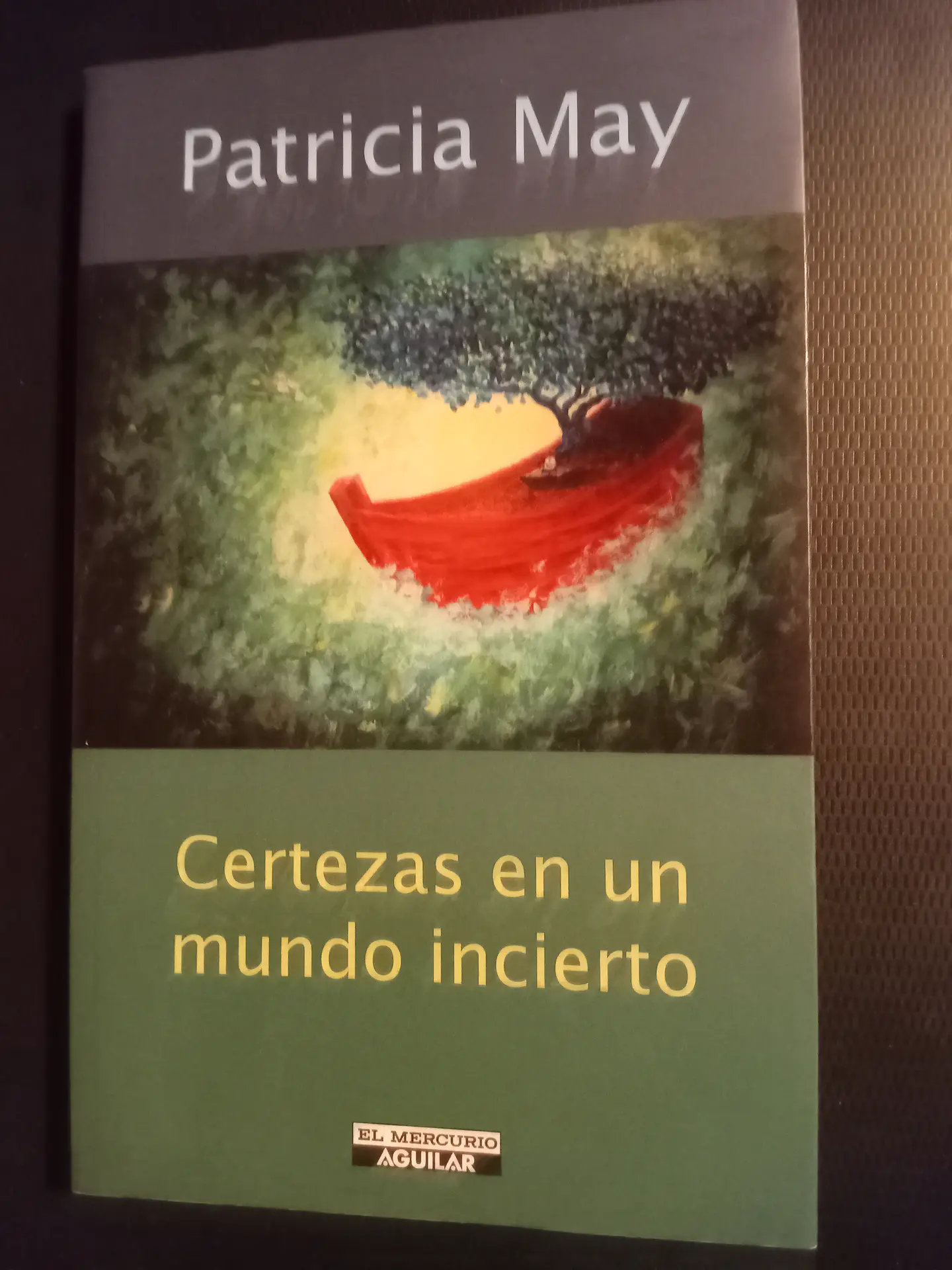 Certezas en un mundo incierto, Patricia May 1