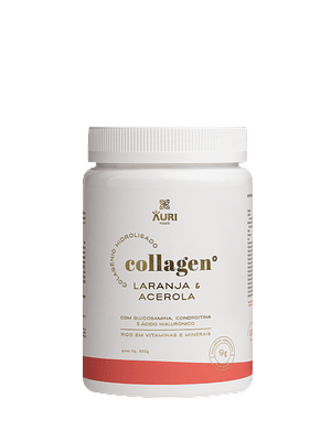 Colagénio Laranja Com Acerola 300 gr Auri Foods