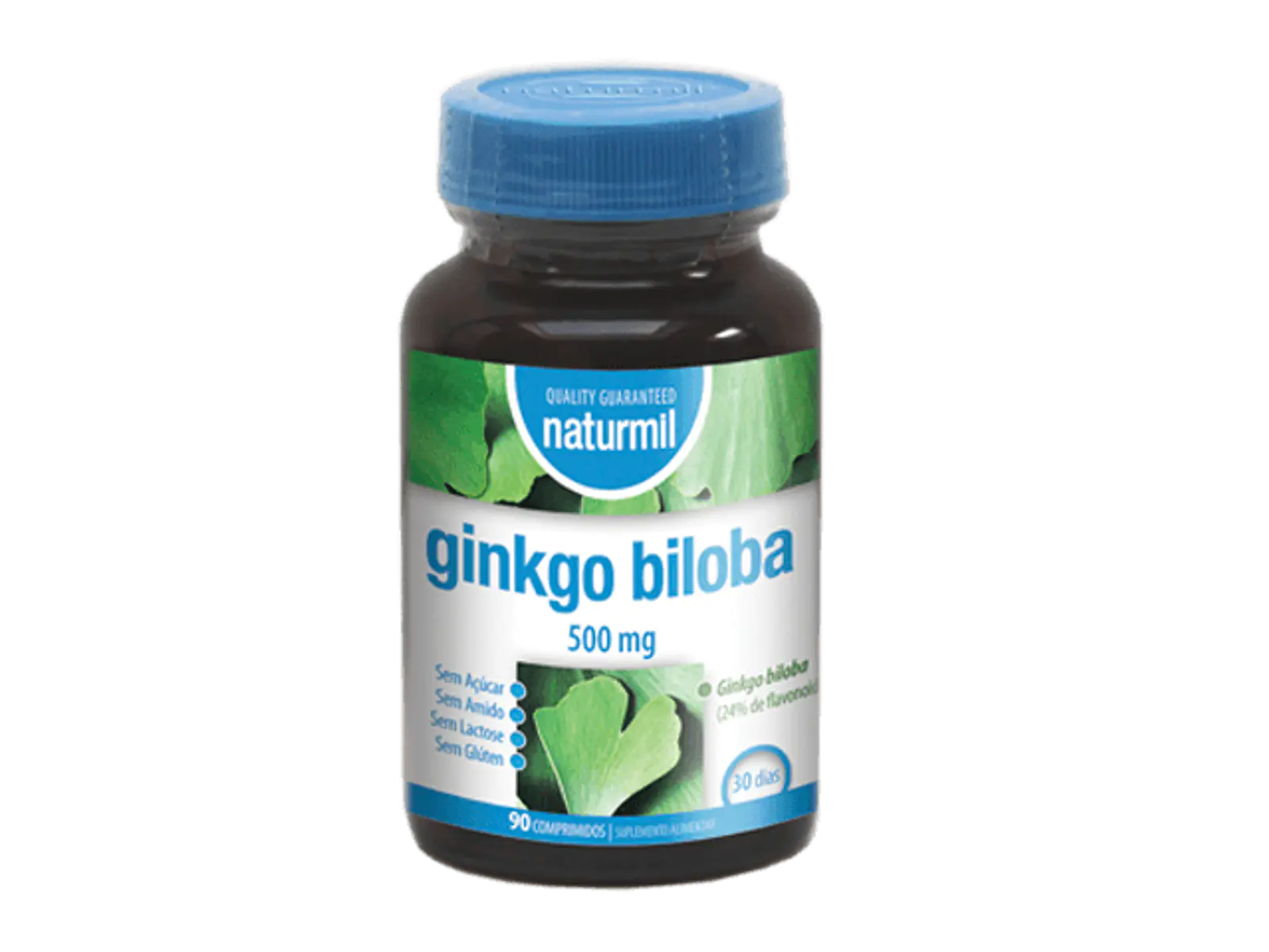 Ginkgo Biloba 500mg 90 Comprimidos Dietmed 1