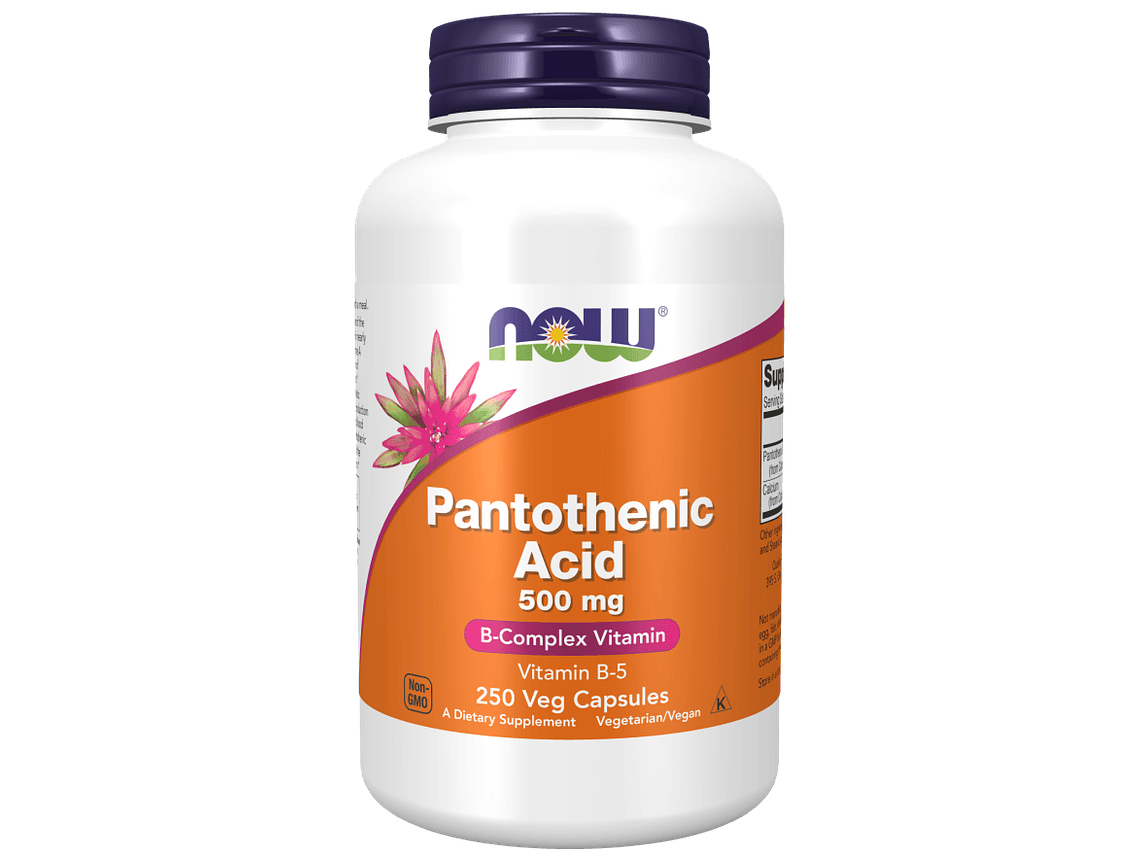 Pantothenic Acid 500 mg 250 Veg Cápsulas Now 1