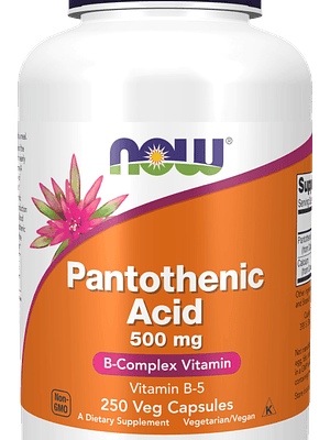 Pantothenic Acid 500 mg 250 Veg Cápsulas Now