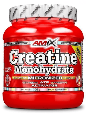 Creatina Monohydrate 300g Amix