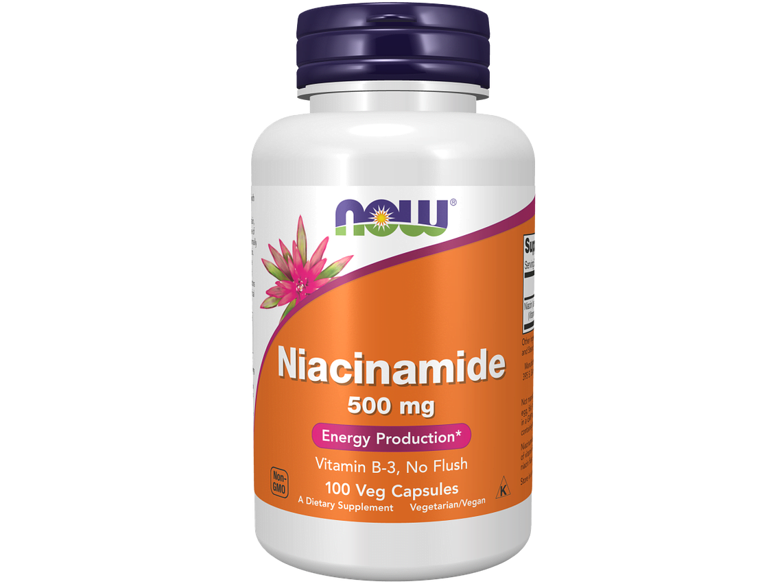 Niacinamide (B-3) 500 mg 100 Capsules Now 1
