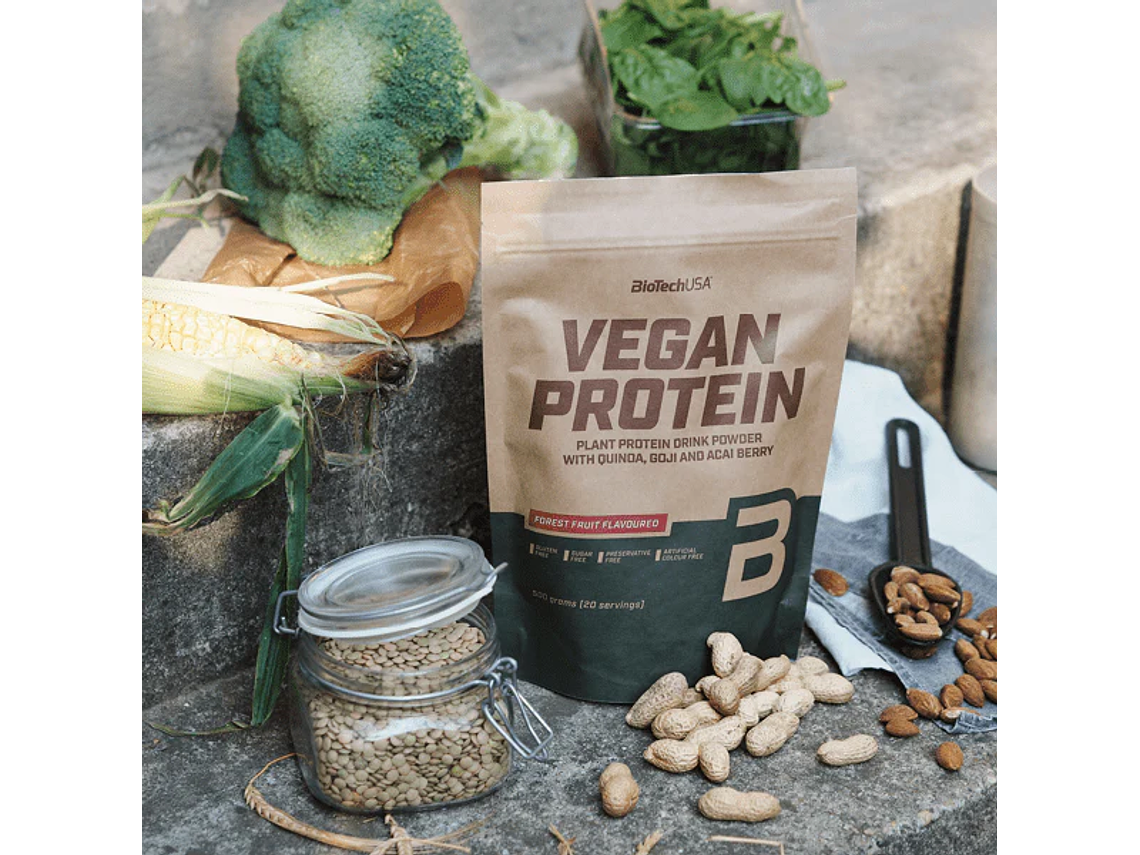 Vegan Protein 500 gr. BiotechUSA 1