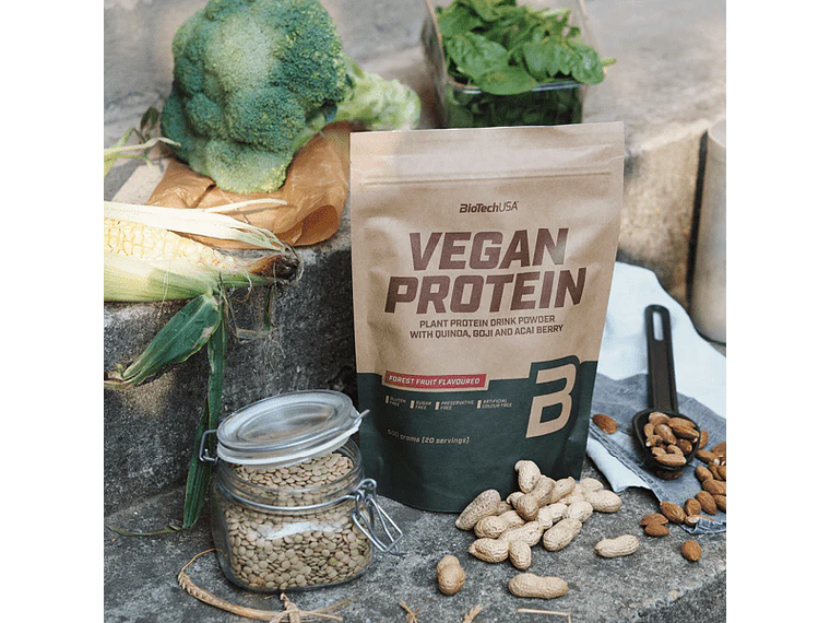 Vegan Protein 500 gr. BiotechUSA 1